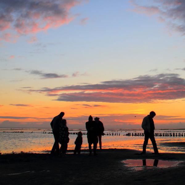 Wattenmeer bei Sonnenuntergang | Süddänische Nordsee