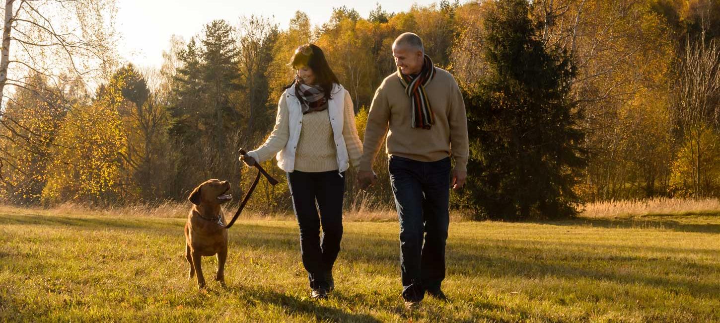 Tag hunden med i hundeskoven | Vadehavskysten