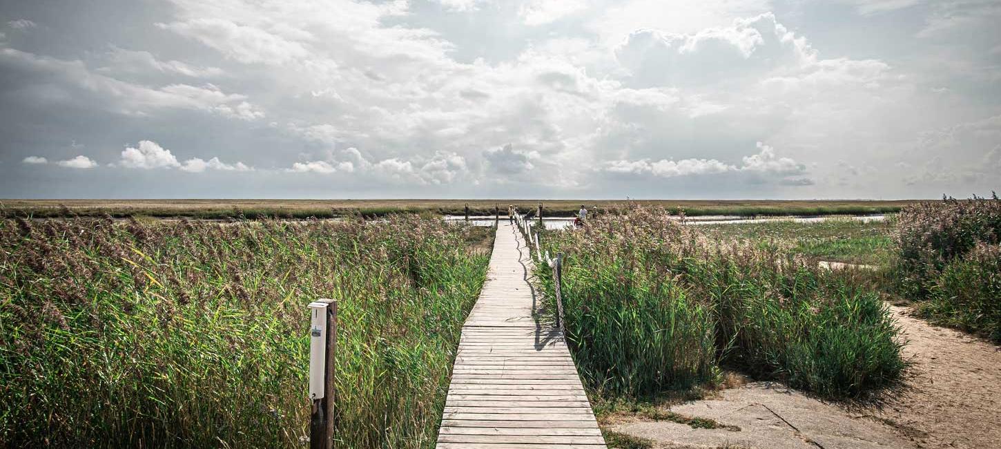 Holzbrücke in Richtung Wasser auf Fanø | Süddänische Nordsee