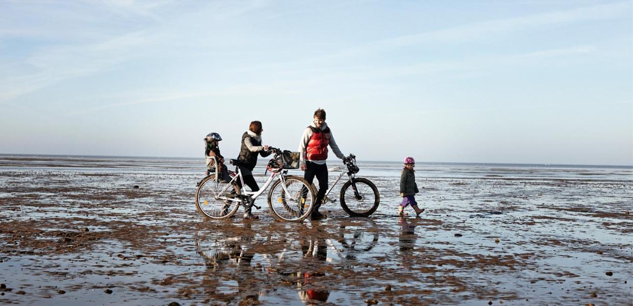 Mit dem Fahrrad am Wattenmeer | Süddänische Nordsee