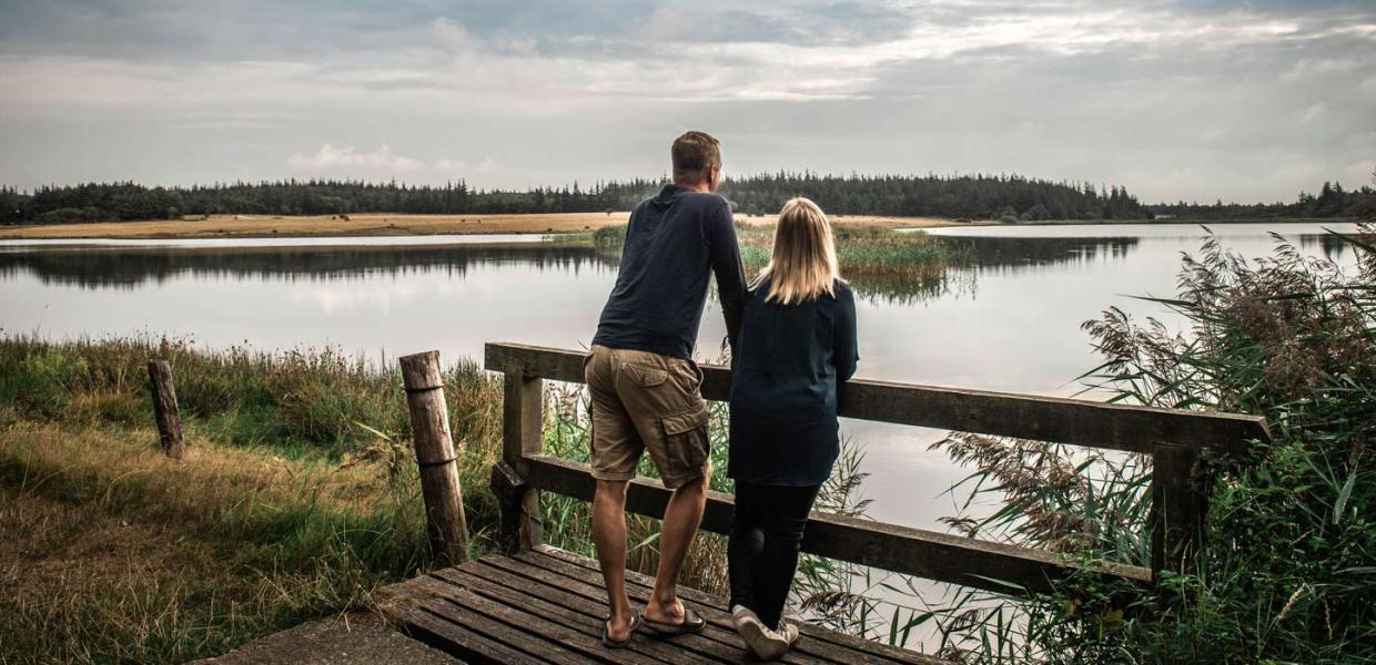 Udsigt ved Marbæk Plantage | Vadehavskysten