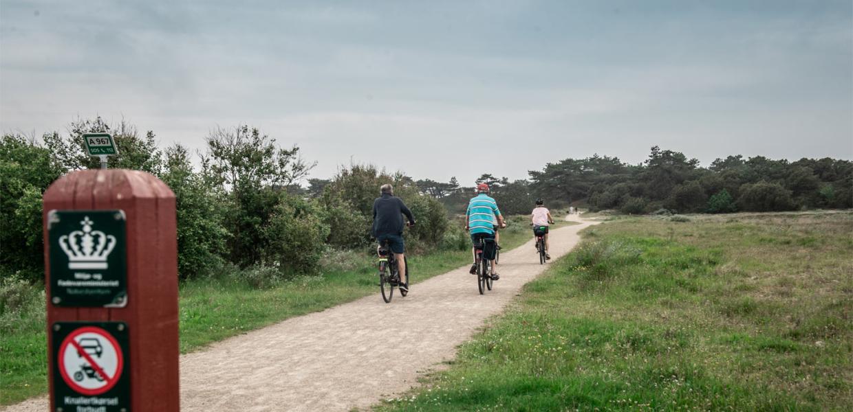Rundt på Fanø på cykel | Vadehavskysten