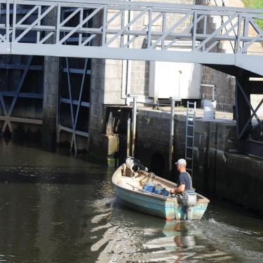Kammerslusen ved RIbe | Vadehavskysten
