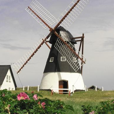 Mandø Mühle | Süddänische Nordsee