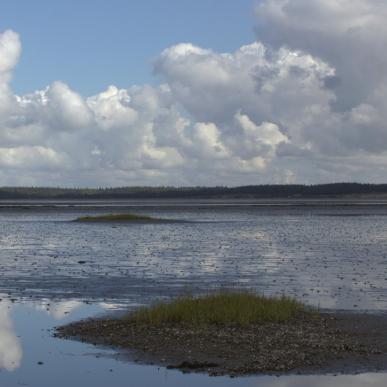 Skallingen og Langli | Vadehavskysten