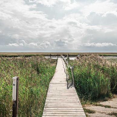 Holzbrücke in Richtung Wasser auf Fanø | Süddänische Nordsee