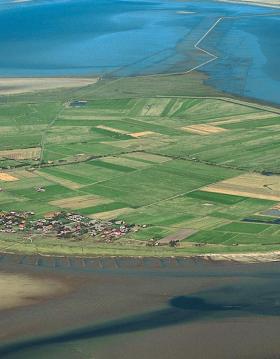 Mandø - die Insel im Wattenmeer | Süddänische Nordsee