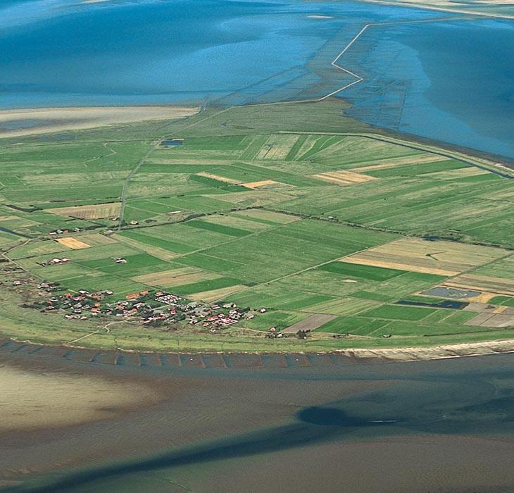 Mandø - die Insel im Wattenmeer | Süddänische Nordsee