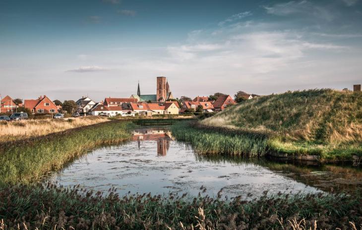 Ribe